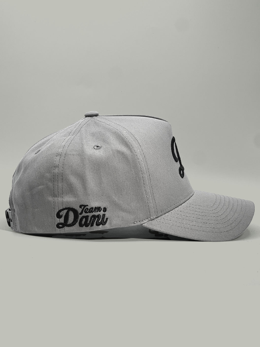 Team Dani D❤️ A-Frame Snapback Hat - Grey