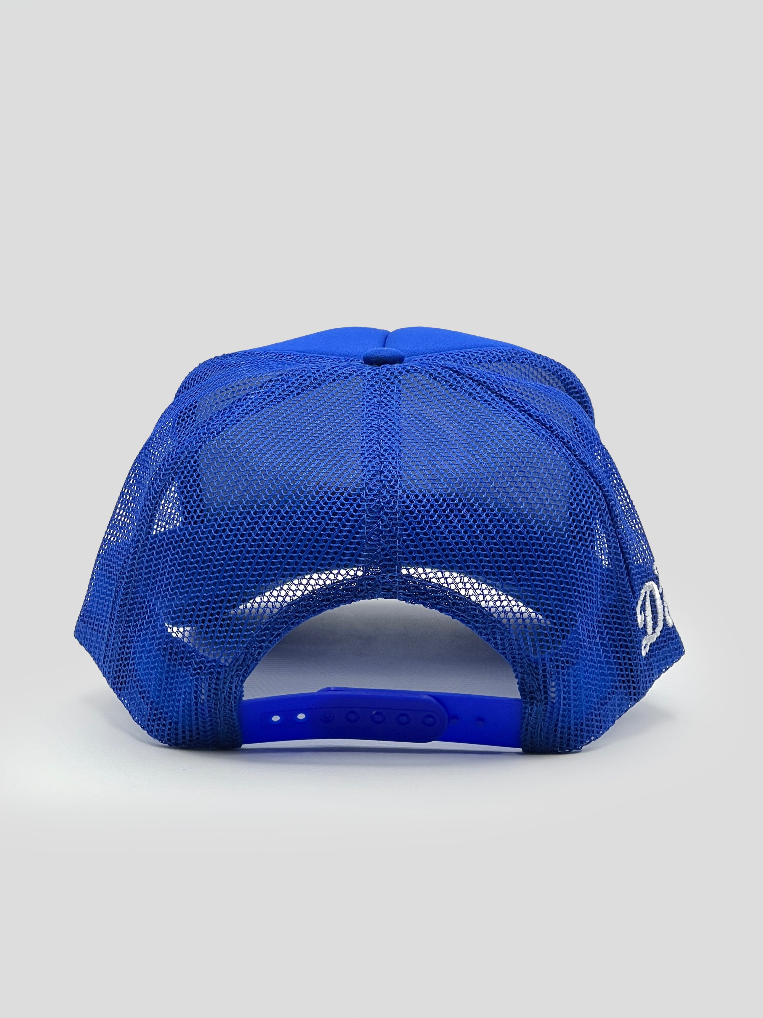 Team Dani D❤️- Foam Front Trucker - Royal