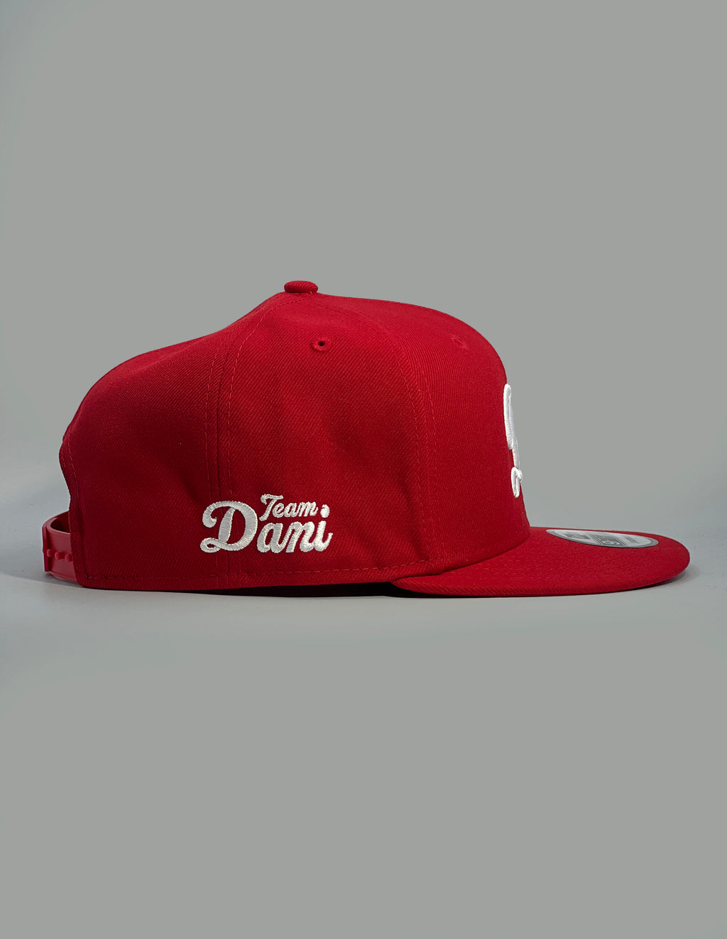 Red cap with 'Team Dani' text on a gray background