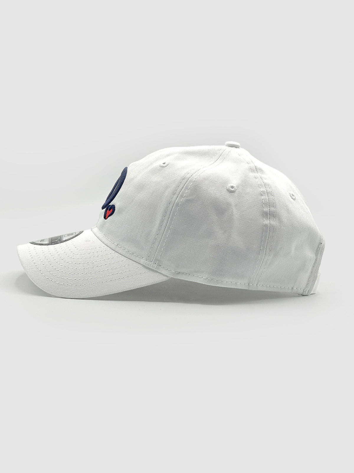 Team Dani D❤️ Dad Hat - White
